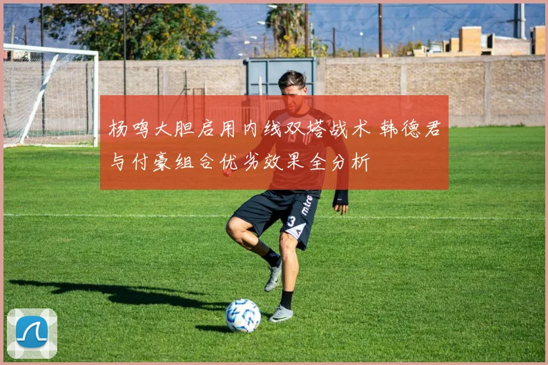 杨鸣大胆启用内线双塔战术 韩德君与付豪组合优劣效果全分析