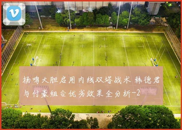 杨鸣大胆启用内线双塔战术 韩德君与付豪组合优劣效果全分析